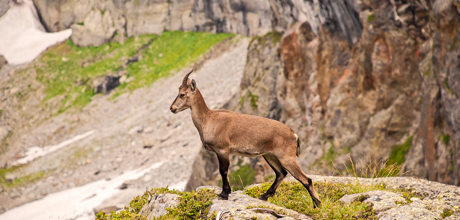 Karnischer_Hohenweg_1