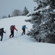 Schitourenwoche Karnische Alpen  18.02. bis 22.02.2013