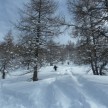 Tiefschneewoche Piemont 24.02. bis 02.03.2013