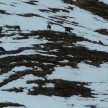 Schitourenwoche Sextener Dolomiten 03.03. bis 09.03.2013