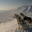 Skitouren am Van Mijenfjorden, Spitzbergen