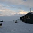 Spitzbergen Mai 2015