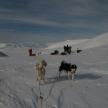 Spitzbergen Mai 2015