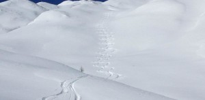 Dolomiten – Villgraten   März 16