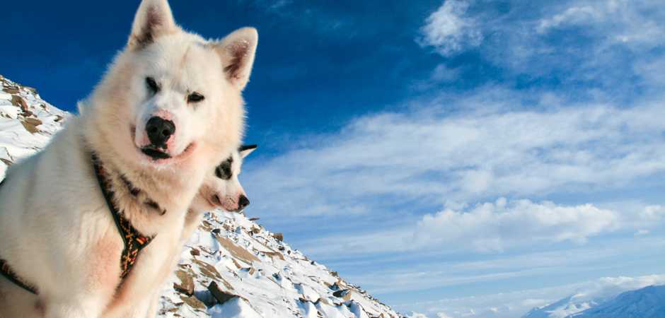 Startbild_Spitzbergen