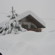 Schneechaos in den Karnischen Alpen - Kärnten