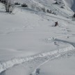 Powderskiing - Lech am Arlberg