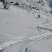 Powderskiing - Lech am Arlberg