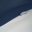 "Canadien Powder" back in Lech am Arlberg