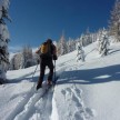 Hoher Bösring - Karnische Alpen