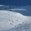 Hochspitz 2.581m - Karnische Alpen