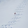 Pulverschneeabfahrten in Lech am Arlberg