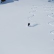 Pulverschneeabfahrten in Lech am Arlberg