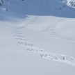 Pulverschneeabfahrten in Lech am Arlberg