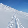 Powderskiing - Skitouring am Arlberg