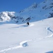 Powderskiing - Skitouring am Arlberg