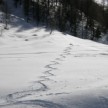 Schitourengenuss Osttirol