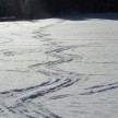 2011